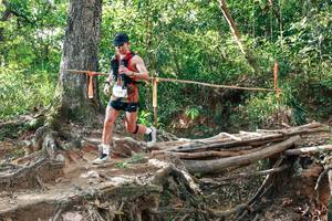 BIB: 
                            <button type="button" onclick="openModal(27555182)" class="btn btn-primary btn-sm float-right btn-popup" data-toggle="modal" data-target=".modal-high-quality">
                        <i class="fas fa-shopping-cart"></i> Add to Cart
                    </button>
                                            <button type="button" onclick="isThisMe(27555182, true)" class="btn btn-success btn-sm float-right btn-popup btn-isme hidden" data-toggle="tooltip" data-placement="bottom" title="นี่คือรูปของคุณใช่ไหม คลิกที่นี่เพื่อเอาเข้าอัลบั้ม">
                        <i class="fas fa-plus"></i> Add to album
                    </button>
                    <button type="button" onclick="isThisMe(27555182, false)" class="btn btn-warning btn-sm float-right btn-popup btn-isnotme hidden">
                        <i class="fas fa-ban"></i> Remove from album
                    </button>